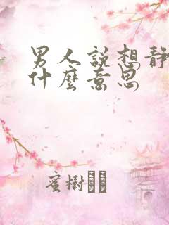 男人说想静静是什么意思