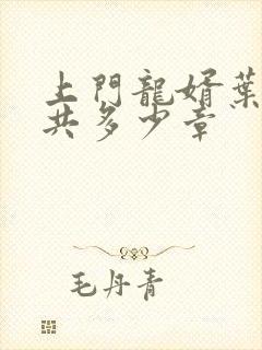 上门龙婿叶辰总共多少章