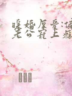 暖婚厚爱:偏执老公宠上瘾