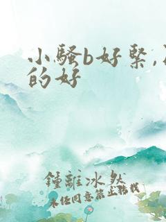 小骚b好紧,日的好