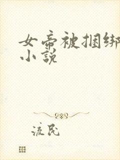 女帝被捆绑调教小说