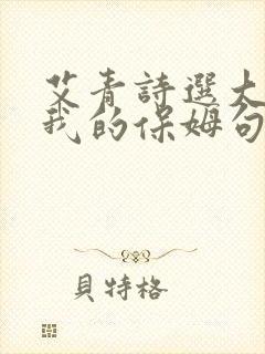 艾青诗选大堰河我的保姆句子赏析