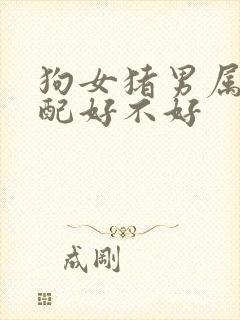 狗女猪男属相婚配好不好