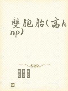双胞胎(高h,np)