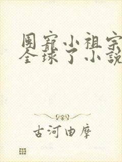 团宠小祖宗惊艳全球了小说无弹窗