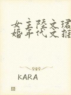 女主陆文珺的军婚年代文推荐