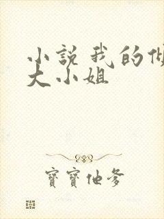 小说 我的倾城大小姐