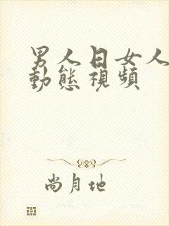 男人日女人bb动态视频