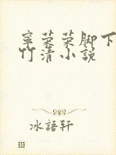 宁荣荣脚下的朱竹清小说