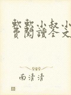 软软小叔小说免费阅读全文最新章节