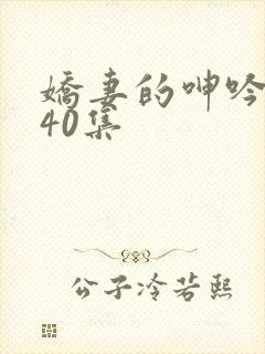 娇妻的呻吟1一40集