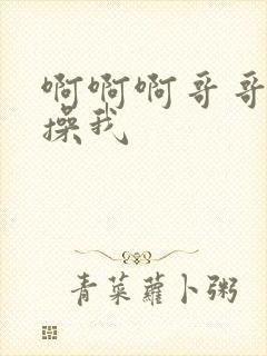 啊啊啊哥哥不要操我