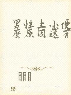 男性上小便痛什么原因还有分泌物