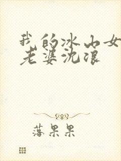 我的冰山女总裁老婆沈浪