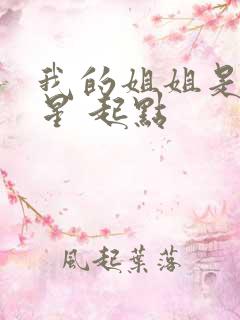 我的姐姐是大明星 起点