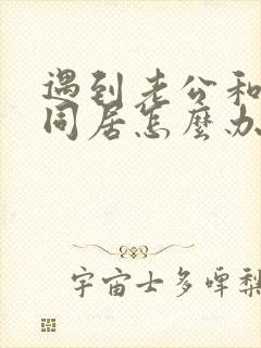 遇到老公和小三同居怎么办