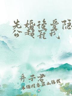 先婚后爱隐婚老公超宠我