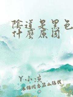 阴道是黑色的是什么原因