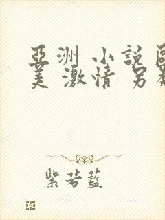 亚洲 小说 欧美 激情 另类小说