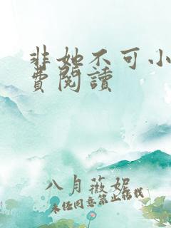 非她不可小说免费阅读