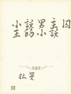 小说男主囚禁女主的小说