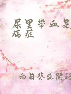 尿里带血是什么病症