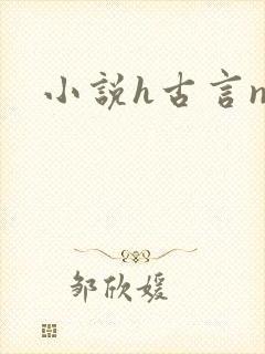 小说h古言np