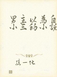 男主以为自己是小三的小说