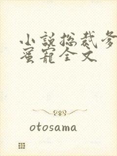 小说总裁爹地蜜蜜宠全文