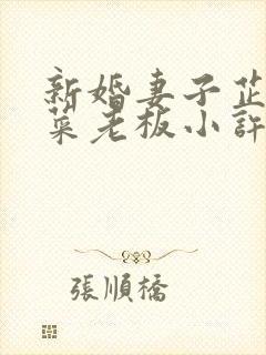新婚妻子芷珊和菜老板小许小说