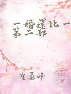一婚还比一婚高第二部