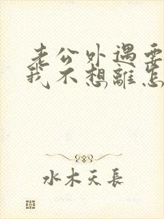 老公外遇要离婚我不想离怎么