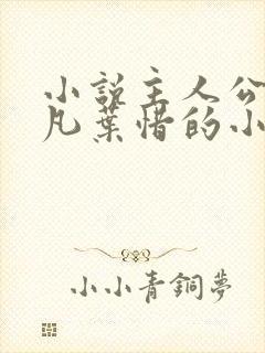 小说主人公叫林凡叶惜的小说