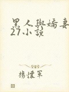 黑人与娇妻1～27小说