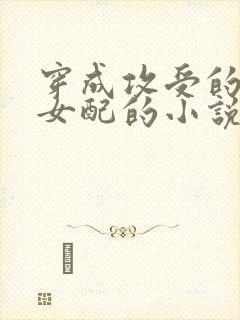 穿成攻受的恶毒女配的小说