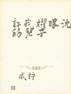 许我耀眼沈皓明的儿子