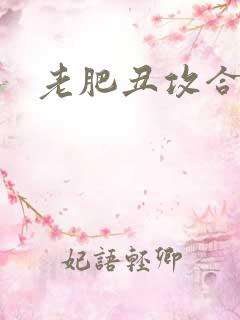 老肥丑攻合集