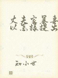 丈夫家暴妻子可以怎样提出离婚