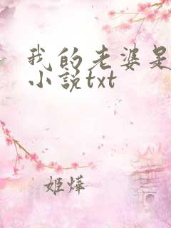 我的老婆是总裁小说txt
