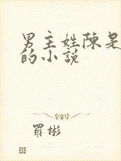 男主姓陈是医生的小说