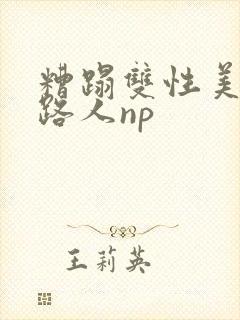 糟蹋双性美人多路人np