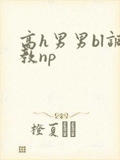 高h男男bl调教np