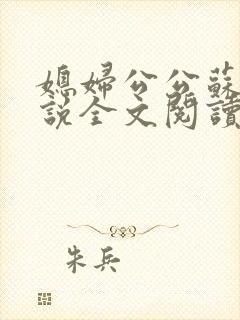 媳妇公公苏晴小说全文阅读
