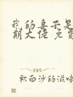 我的妻子是大乘期大佬 免费下载