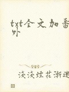 txt全文加番外
