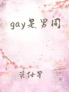 gay是男同