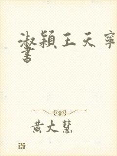 淑颖王天宁电子书