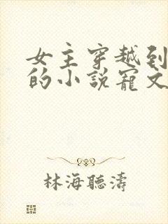 女主穿越到古代的小说宠文