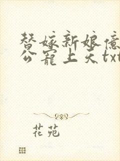 替嫁新娘亿万老公宠上天txt