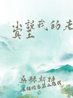 小说我的老公是冥王